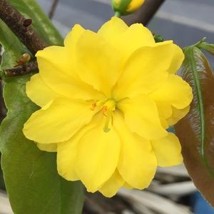 Meet your Posher, Mai